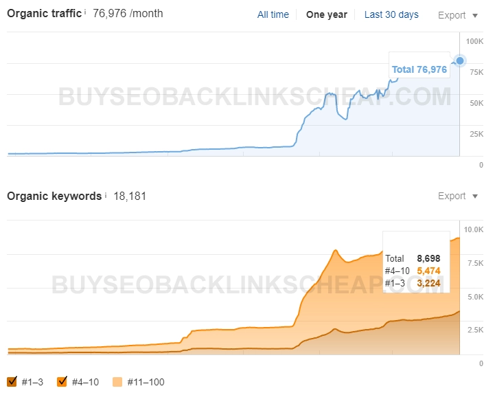 Image 42: buy backlinks case study